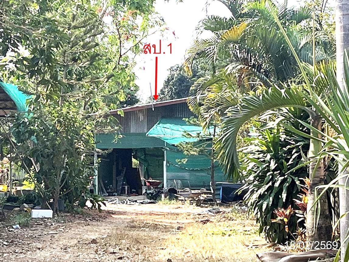 บ้านเดี่ยว ท่าถ่าน พนมสารคาม ฉะเชิงเทรา 3 ห้องนอน 3 ห้องน้ำ พื้นที่กว้างพิเศษ 340 ตร.ม. บนที่ดิน 66 ตร.ว.