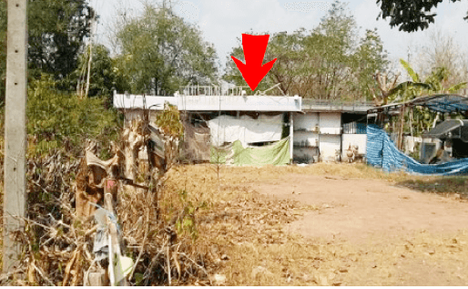 บ้านเดี่ยว บ้านโนนสวรรค์ แวงใหญ่-ขอนแก่น