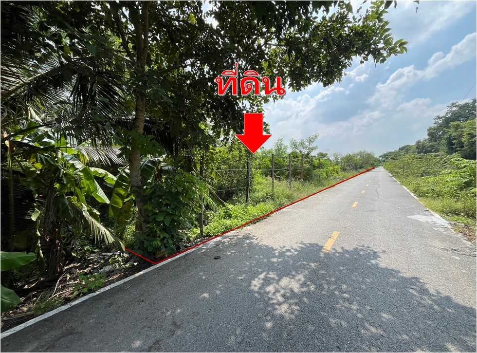 ขาย ที่ดินเปล่า ใกล้ อบต.บ้านใหม่ บางใหญ่ เหมาะทำหมู่บ้าน นนทบุรี 29-1-81 ไร่