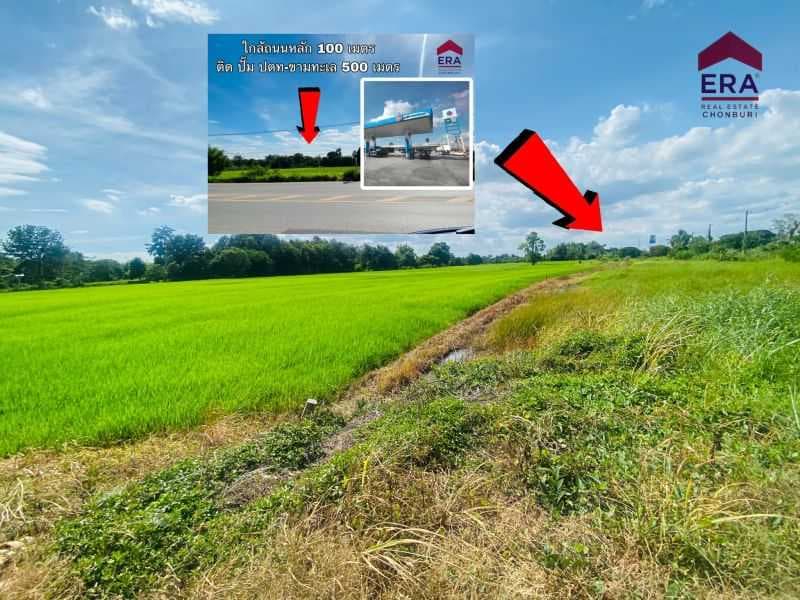 ขายที่ดินเปล่าแปลงใหญ่ ติดถนนหลัก ใกล้ถนนมิตรภาพ โคราช 4 ไร่ 48.3 ตรว. (HL-99033)