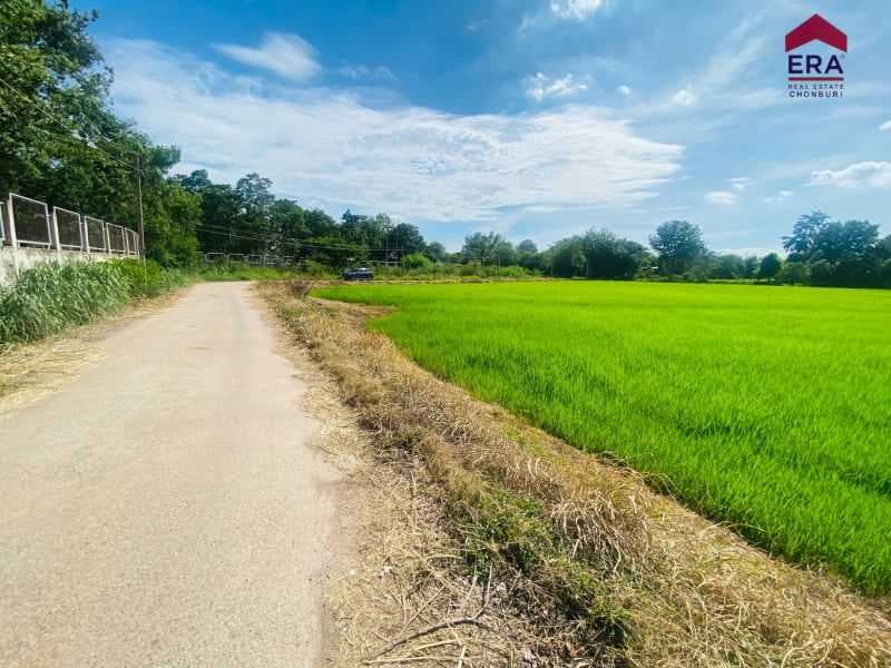 ขายที่ดินเปล่าแปลงใหญ่ ติดถนนหลัก ใกล้ถนนมิตรภาพ โคราช 4 ไร่ 48.3 ตรว. (HL-99033)