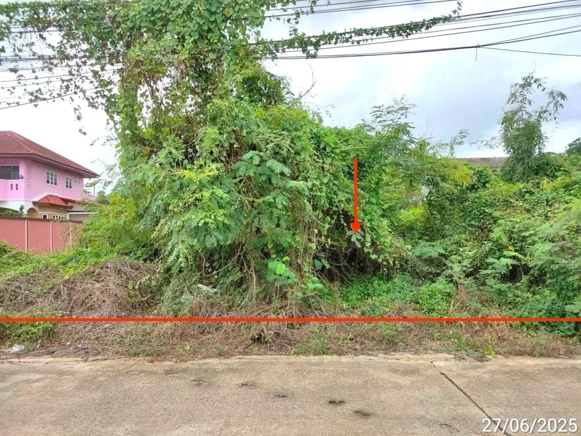ที่ดินเปล่าผืนใหญ่ 32 ไร่ ทำเลศักยภาพ บึงสามพัน เพชรบูรณ์ เหมาะสำหรับการเกษตรและการลงทุน