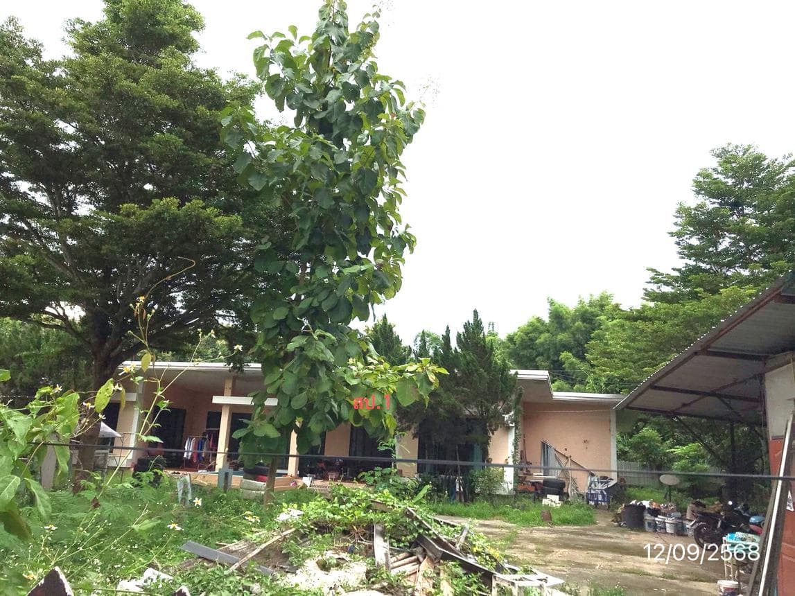 บ้านเดี่ยว ป่าไผ่ สันทราย เชียงใหม่ พื้นที่ 35 ตร.ว. พื้นที่ใช้สอย 277 ตร.ม. 4 ห้องนอน 5 ห้องน้ำ
