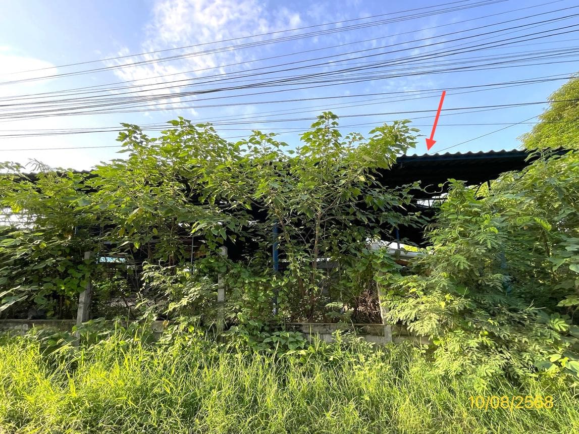 บ้านเดี่ยว 2 ห้องนอน พื้นที่ 96 ตร.ม. ทำเลศักยภาพ ท่าไม้ ท่ามะกา กาญจนบุรี