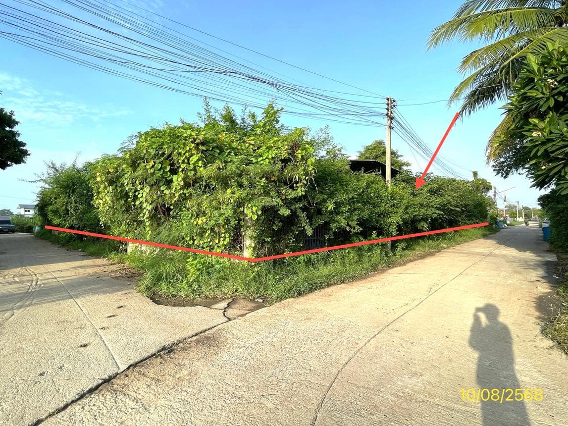 บ้านเดี่ยว 2 ห้องนอน พื้นที่ 96 ตร.ม. ทำเลศักยภาพ ท่าไม้ ท่ามะกา กาญจนบุรี