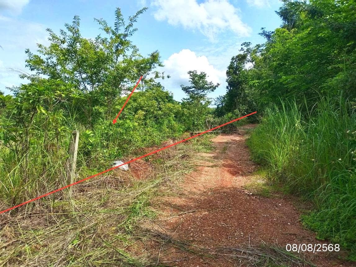 ขายที่ดินเปล่า ภูซาง พะเยา ทำเลธรรมชาติ เหมาะสำหรับการลงทุนและสร้างบ้านพักตากอากาศ
