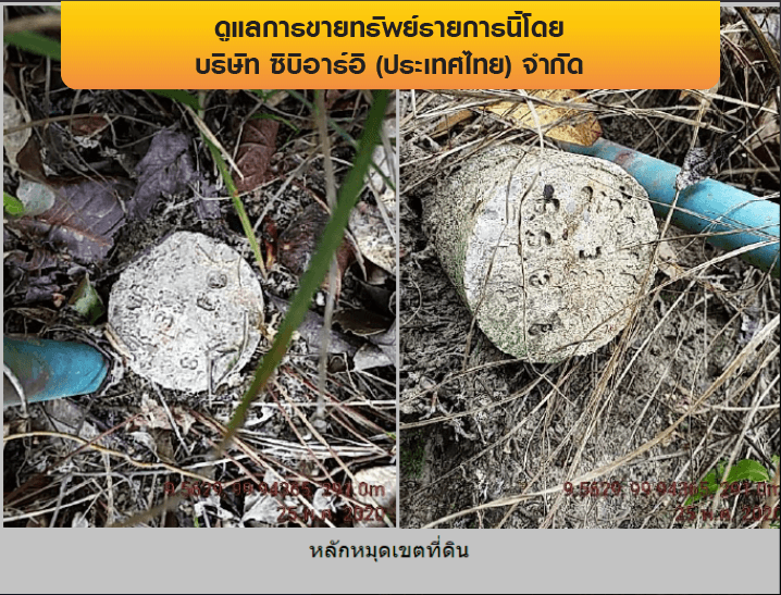 ที่ดินว่างเปล่า เกาะสมุย-สุราษฎร์ธานี