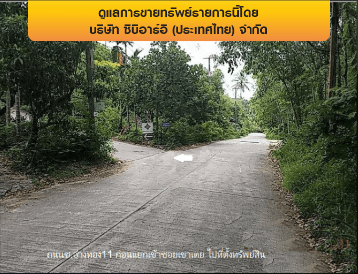 ที่ดินว่างเปล่า เกาะสมุย-สุราษฎร์ธานี