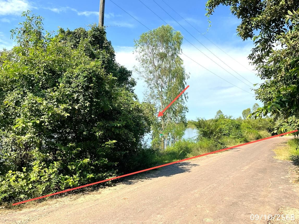 ขายที่ดินเปล่า แจระแม เมืองอุบลราชธานี อุบลราชธานี เนื้อที่ 10 ตร.ว.