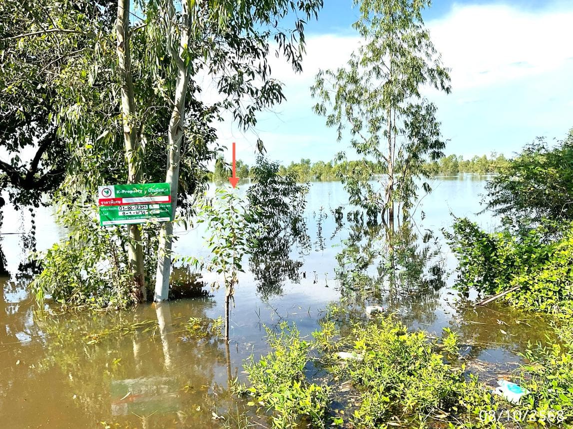 ขายที่ดินเปล่า แจระแม เมืองอุบลราชธานี อุบลราชธานี เนื้อที่ 10 ตร.ว.