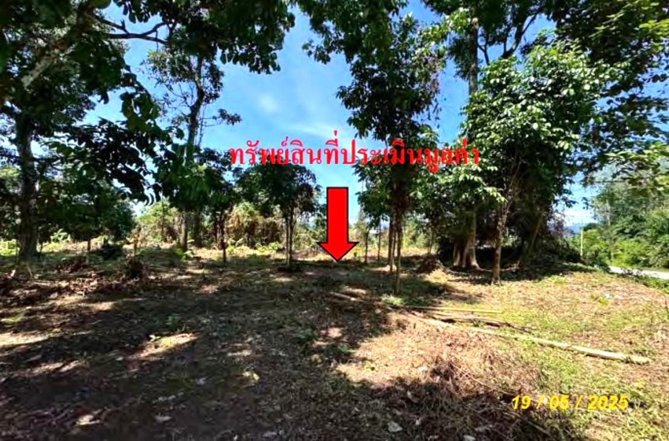 ที่ดินว่างเปล่า ซากอ ศรีสาคร นราธิวาส เนื้อที่ 40 ตร.ว. ทำเลสงบ บรรยากาศดี เหมาะสำหรับสร้างที่อยู่อาศัยหรือซื้อเก็บลงทุน ราคาเพียง 6.6 แสน
