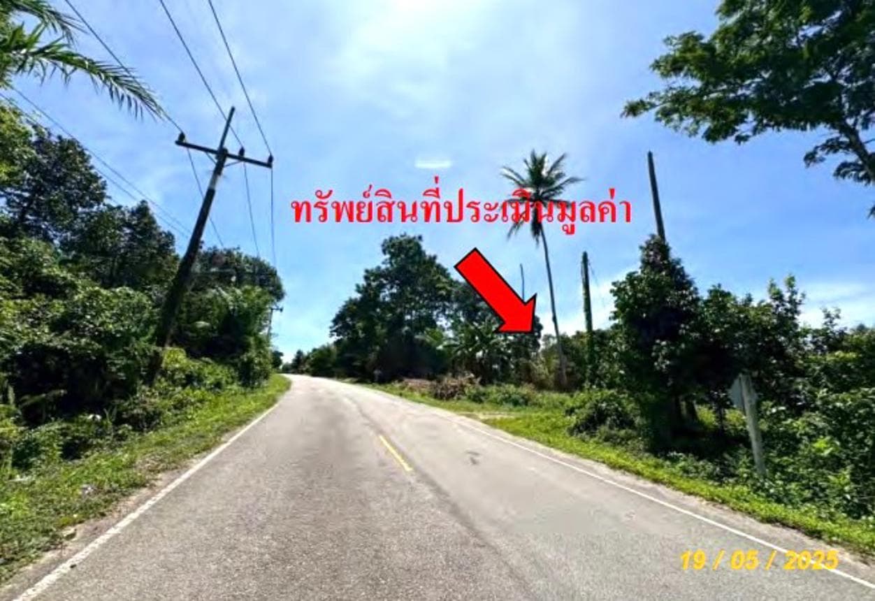 ที่ดินว่างเปล่า ซากอ ศรีสาคร นราธิวาส เนื้อที่ 40 ตร.ว. ทำเลสงบ บรรยากาศดี เหมาะสำหรับสร้างที่อยู่อาศัยหรือซื้อเก็บลงทุน ราคาเพียง 6.6 แสน