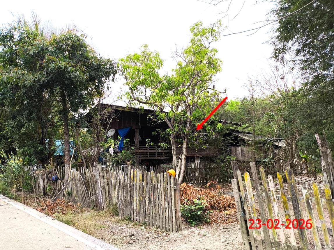 ขายบ้านเดี่ยวชั้นเดียว บ้านเมาะพัฒนา พื้นที่กว้างขวาง 87 ตร.ว. ทำเลสงบ เมืองลำปาง ราคาสุดคุ้ม