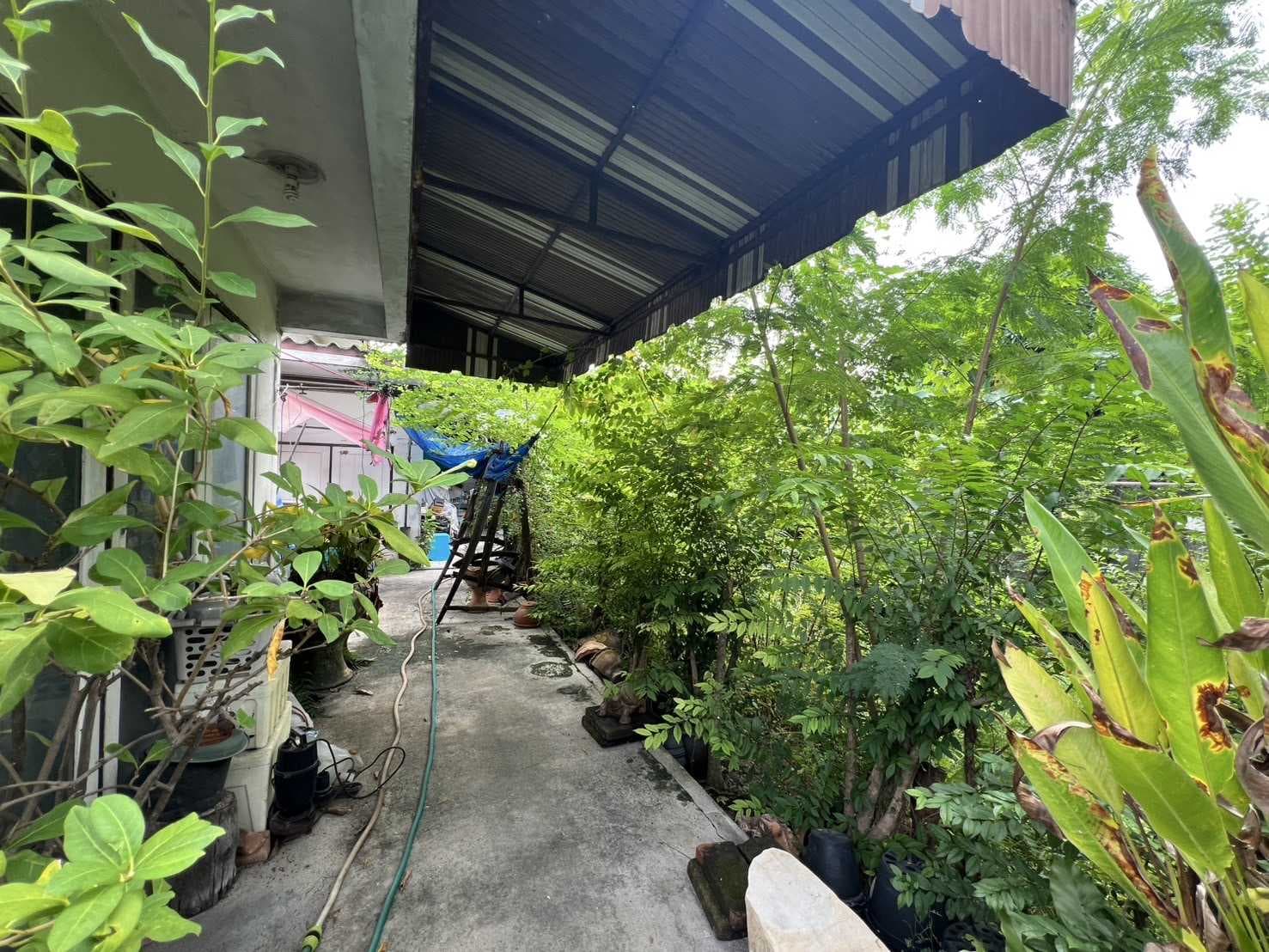 ขาย บ้านเดี่ยว หมู่บ้านศานติ 200 ตรม 87 ตรว 2นอน 3น้ำ ใกล้เซ็นทรัลบางนา