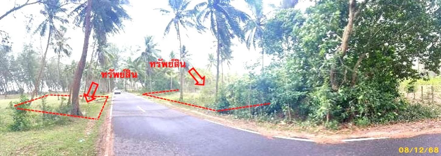 ที่ดินเปล่า ไพรวัน ตากใบ นราธิวาส พื้นที่ 22 ตร.ว. ทำเลศักยภาพ เหมาะลงทุนหรือสร้างที่พักอาศัย