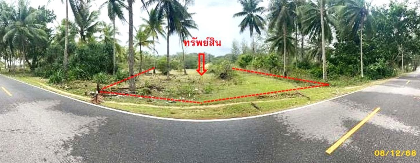 ที่ดินเปล่า ไพรวัน ตากใบ นราธิวาส พื้นที่ 22 ตร.ว. ทำเลศักยภาพ เหมาะลงทุนหรือสร้างที่พักอาศัย