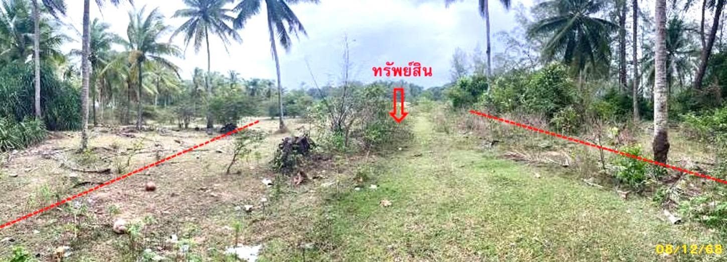 ที่ดินเปล่า ไพรวัน ตากใบ นราธิวาส พื้นที่ 22 ตร.ว. ทำเลศักยภาพ เหมาะลงทุนหรือสร้างที่พักอาศัย