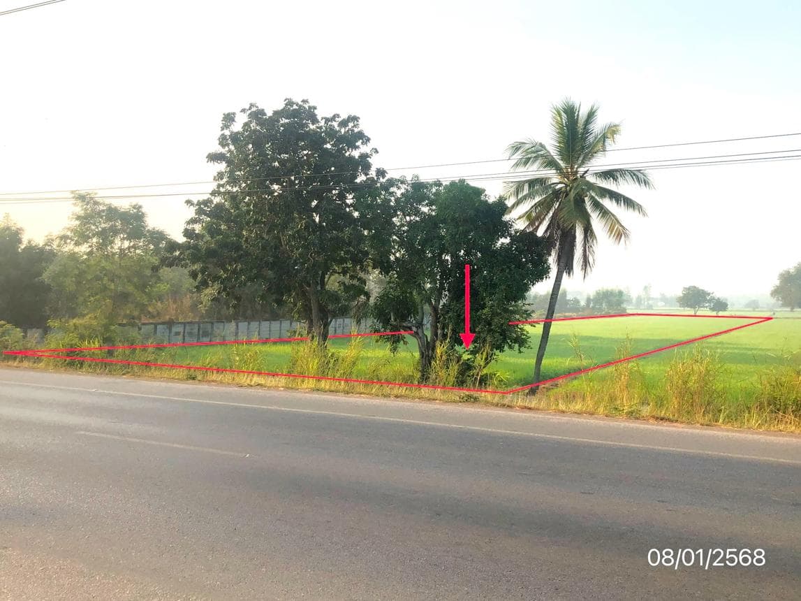 ขายที่ดินว่างเปล่า มะตูม พรหมพิราม พิษณุโลก
