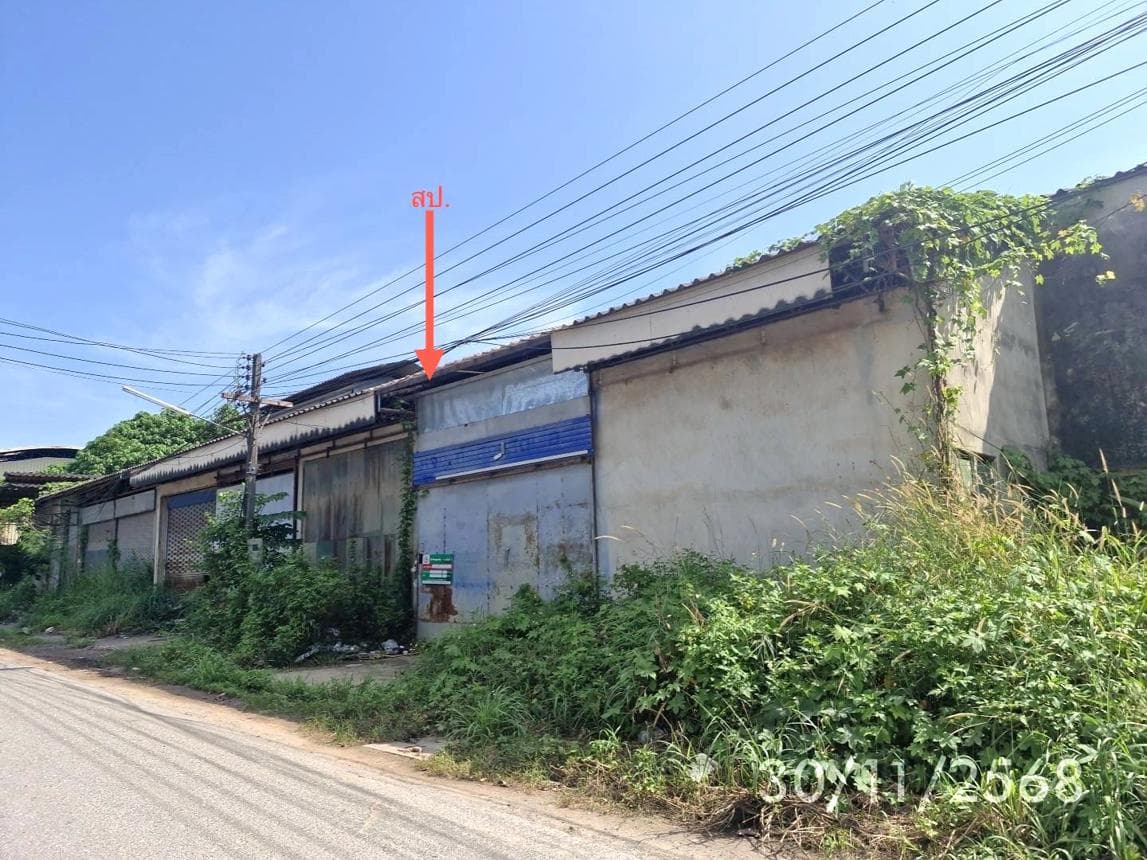 ขายอาคารโรงงาน ชะมาย ทุ่งสง นครศรีธรรมราช พื้นที่ใช้สอย 920 ตร.ม. บนเนื้อที่ 6.3 ไร่ ทำเลศักยภาพติดถนนใหญ่เหมาะแก่การลงทุนอุตสาหกรรมนั่นเอง