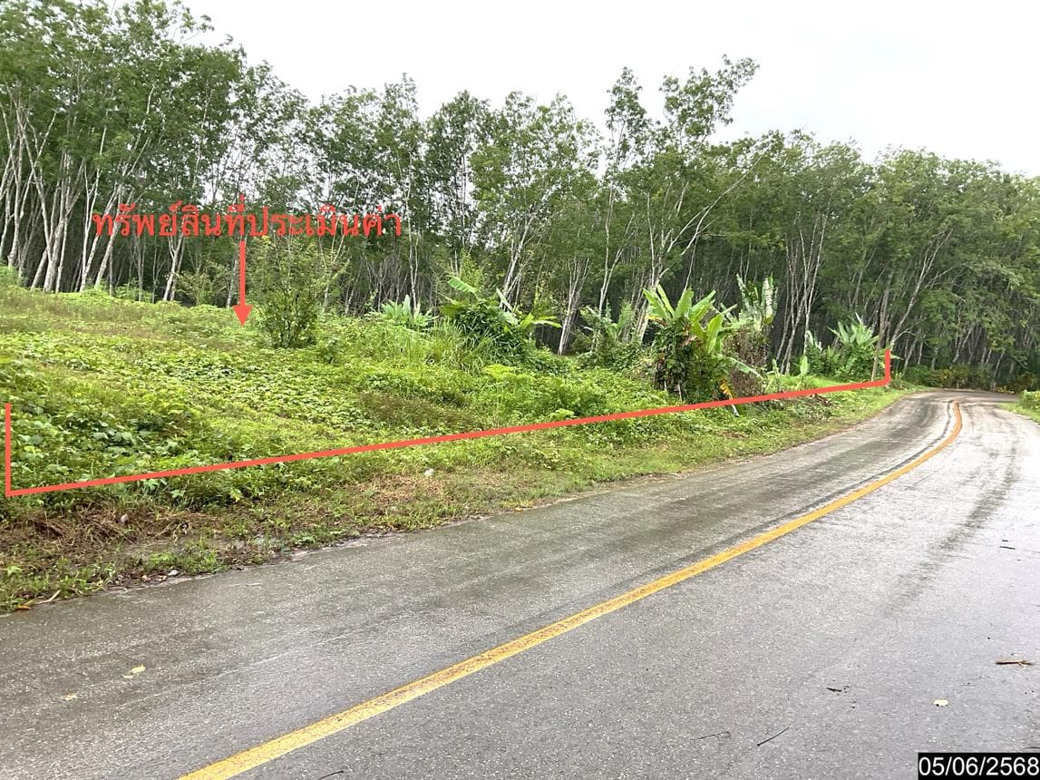 ขายที่ดินเปล่า หนองช้างแล่น ห้วยยอด ตรัง 26.4 ไร่ ทำเลศักยภาพ บรรยากาศดี เหมาะพัฒนาโครงการหรือทำเกษตรกรรมนั่นเอง