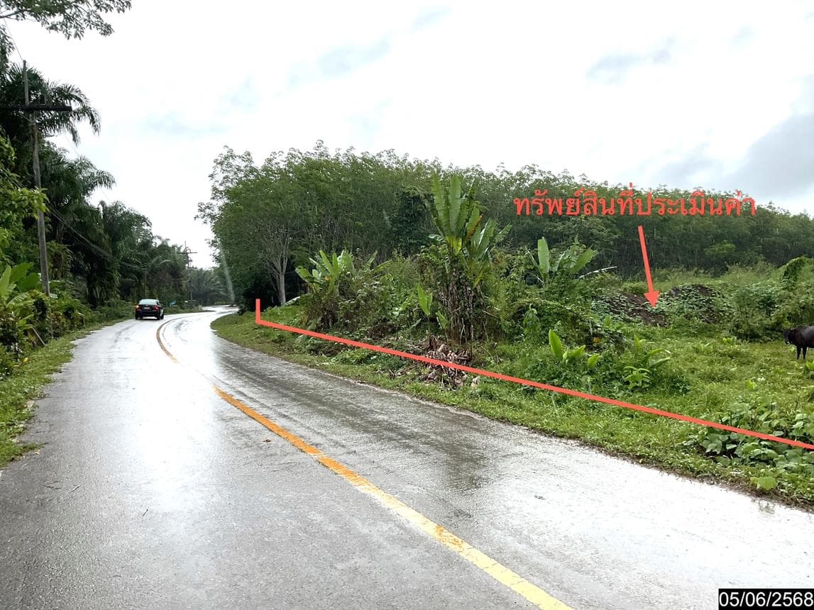 ขายที่ดินเปล่า หนองช้างแล่น ห้วยยอด ตรัง 26.4 ไร่ ทำเลศักยภาพ บรรยากาศดี เหมาะพัฒนาโครงการหรือทำเกษตรกรรมนั่นเอง