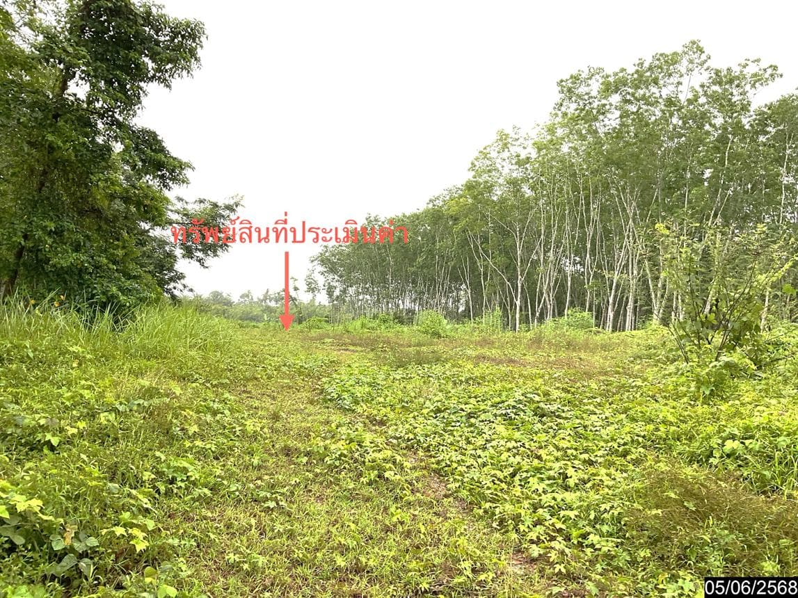 ขายที่ดินเปล่า หนองช้างแล่น ห้วยยอด ตรัง 26.4 ไร่ ทำเลศักยภาพ บรรยากาศดี เหมาะพัฒนาโครงการหรือทำเกษตรกรรมนั่นเอง