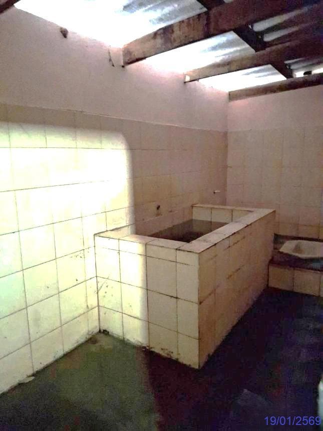 บ้านเดี่ยว 1 ห้องนอน 1 ห้องน้ำ พื้นที่ 86 ตร.ม. บนเนื้อที่ 42 ตร.ว. ทำเลศักยภาพ เขาวิเศษ วังวิเศษ จ.ตรัง