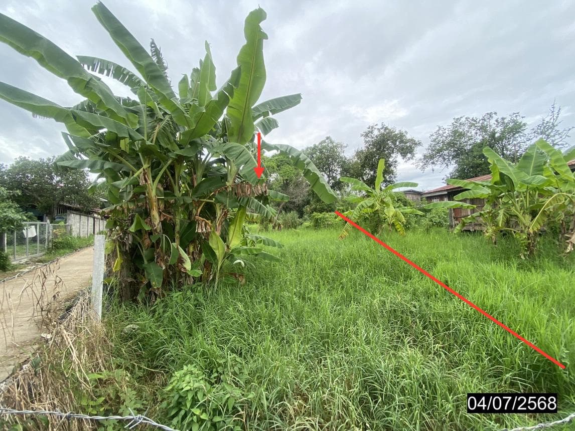 ที่ดินว่างเปล่า เนื้อที่ 87.9 ตร.ว. ทำเลศักยภาพ อาฮี ท่าลี่ เลย