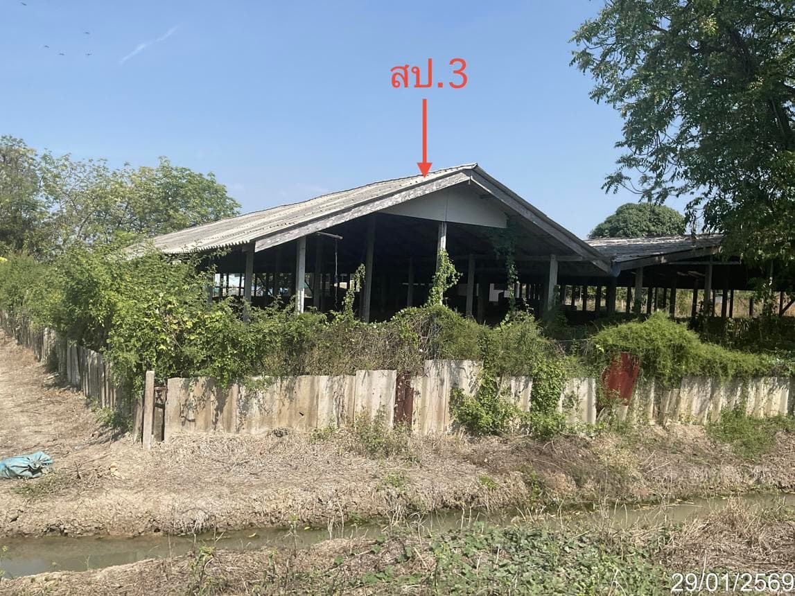 ขายบ้านเดี่ยว สามชุก สุพรรณบุรี ทำเลกระเสียว เนื้อที่ 41 ตร.ว. พื้นที่ใช้สอย 292.5 ตร.ม. 3 ห้องนอน 3 ห้องน้ำ สภาพดี พร้อมอยู่