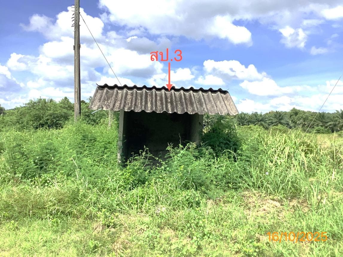 โกดัง พื้นที่ 1067.94 ตร.ม. ทำเลศักยภาพ ทุ่งค่าย ย่านตาขาว ตรัง