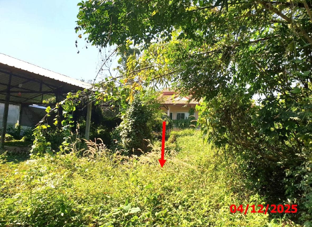 บ้านเดี่ยว 3 ห้องนอน พื้นที่ 137.2 ตร.ม. ทำเลศักยภาพ ปงแสนทอง เมืองลำปาง ลำปาง