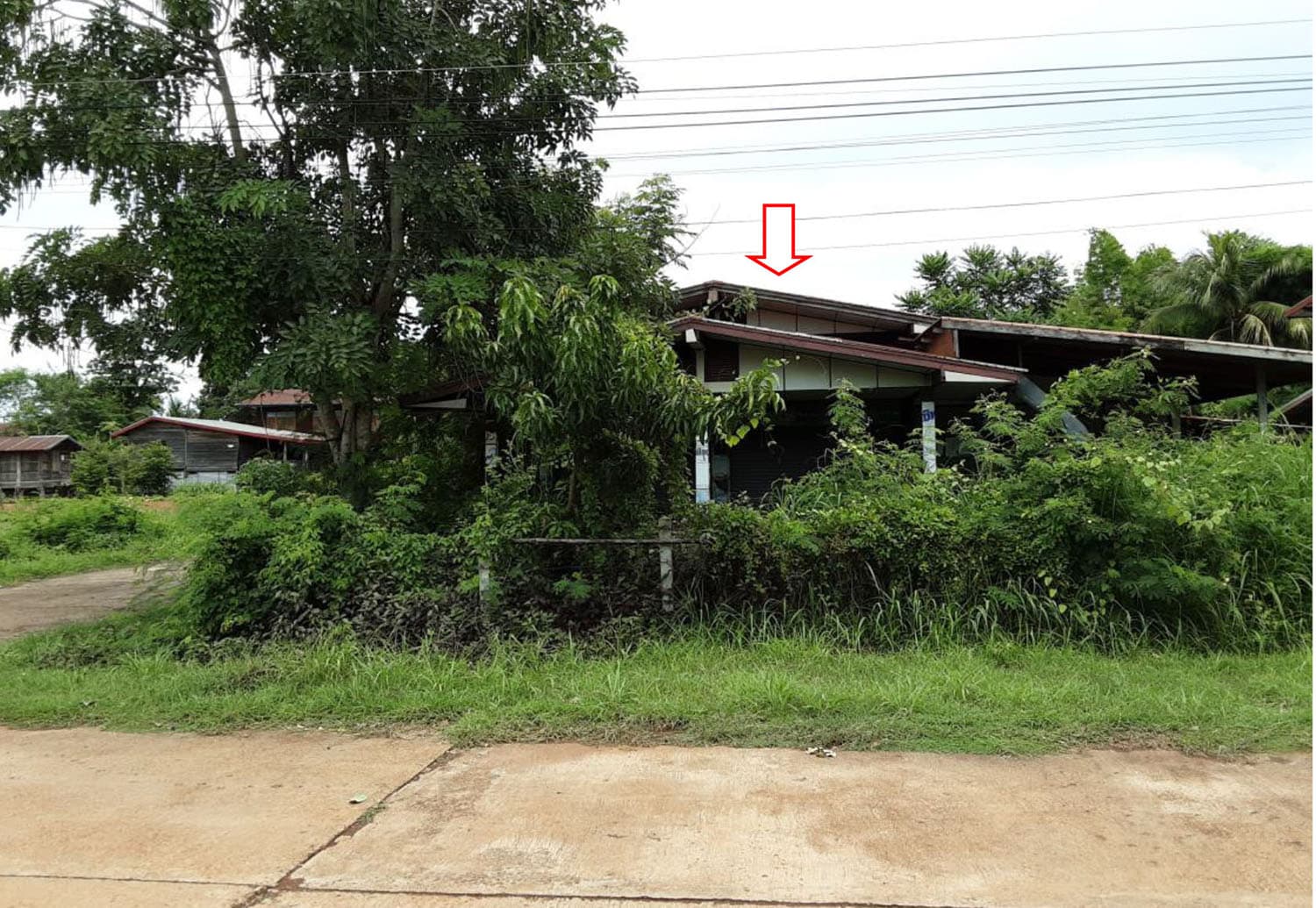 ที่ดินพร้อมสิ่งปลูกสร้าง เจริญศิลป์ สกลนคร
