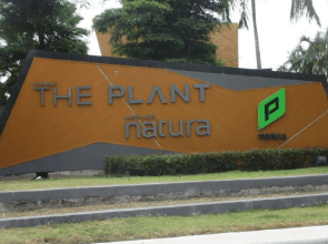 บ้านแฝด โครงการ เดอะแพลนท์ & เนเชอร่าเทรนด์ วงแหวน-ลำลูกกา คลอง 5 ปทุมธานี