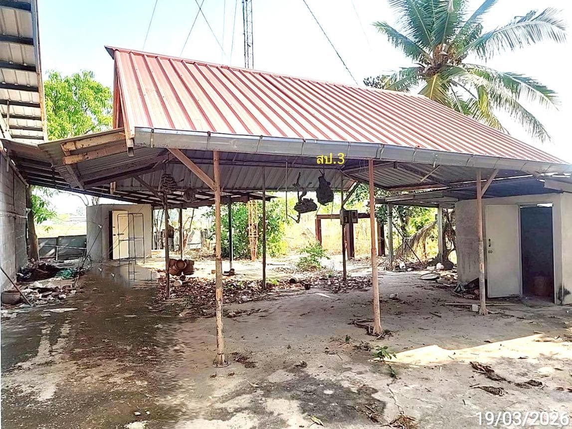 ขายโกดังขนาดใหญ่ พื้นที่ใช้สอยกว่า 1,100 ตร.ม. ต.ท่าสองคอน อ.เมืองมหาสารคาม บนที่ดิน 70 ตร.ว. ทำเลดีเพื่อการขนส่ง