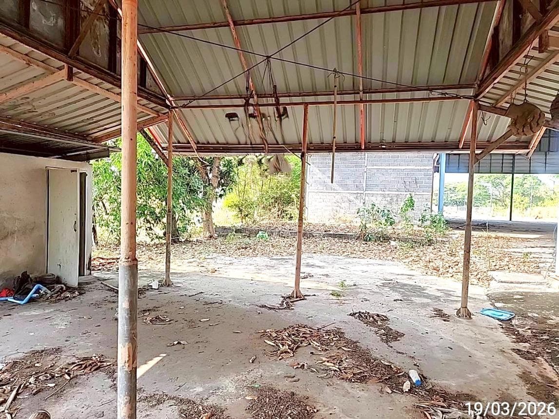 ขายโกดังขนาดใหญ่ พื้นที่ใช้สอยกว่า 1,100 ตร.ม. ต.ท่าสองคอน อ.เมืองมหาสารคาม บนที่ดิน 70 ตร.ว. ทำเลดีเพื่อการขนส่ง