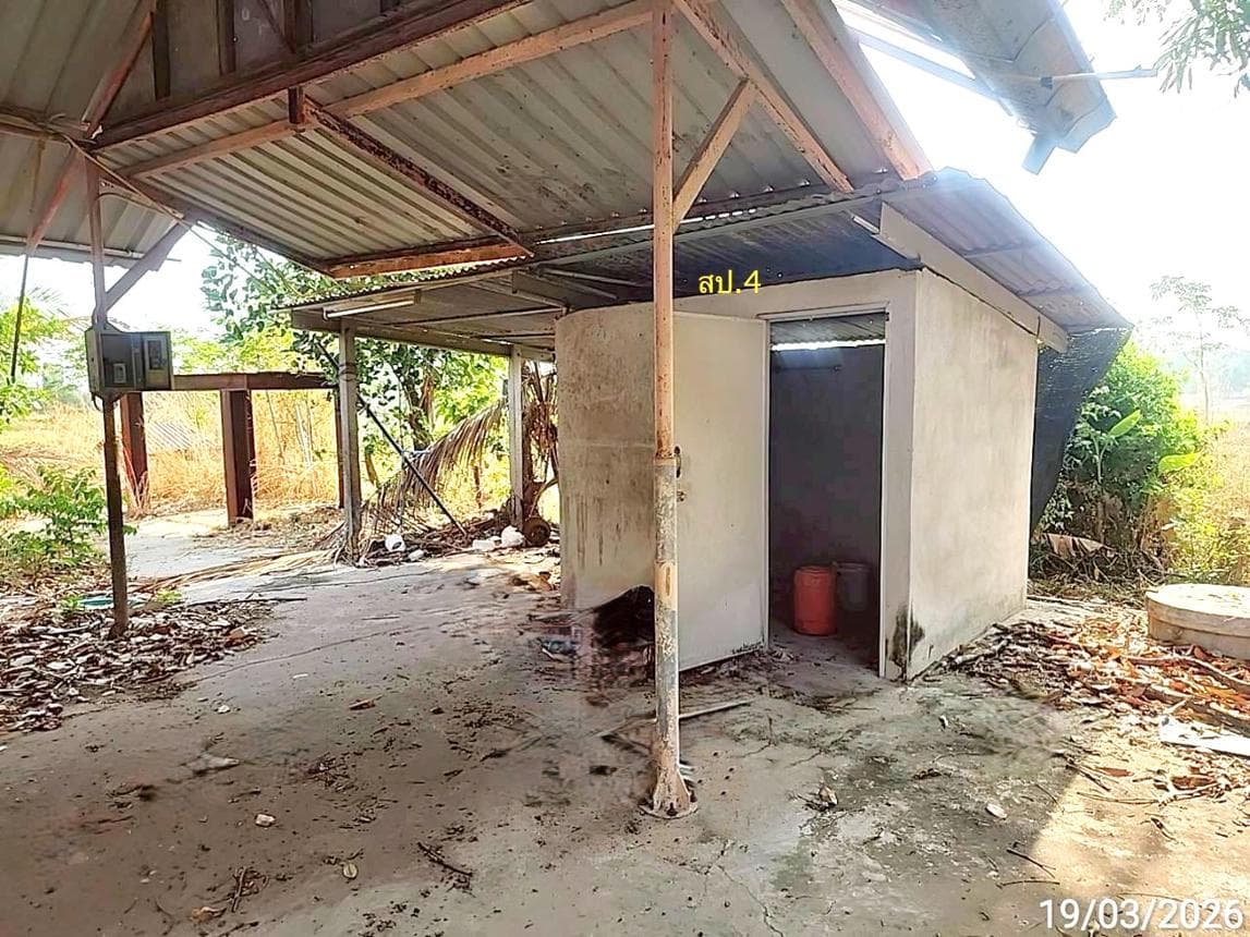 ขายโกดังขนาดใหญ่ พื้นที่ใช้สอยกว่า 1,100 ตร.ม. ต.ท่าสองคอน อ.เมืองมหาสารคาม บนที่ดิน 70 ตร.ว. ทำเลดีเพื่อการขนส่ง