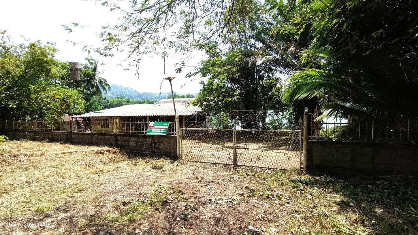 บ้านเดี่ยว 2 ห้องนอน พื้นที่ 211.79 ตร.ม. ทำเลศักยภาพ บางม่วง ตะกั่วป่า พังงา