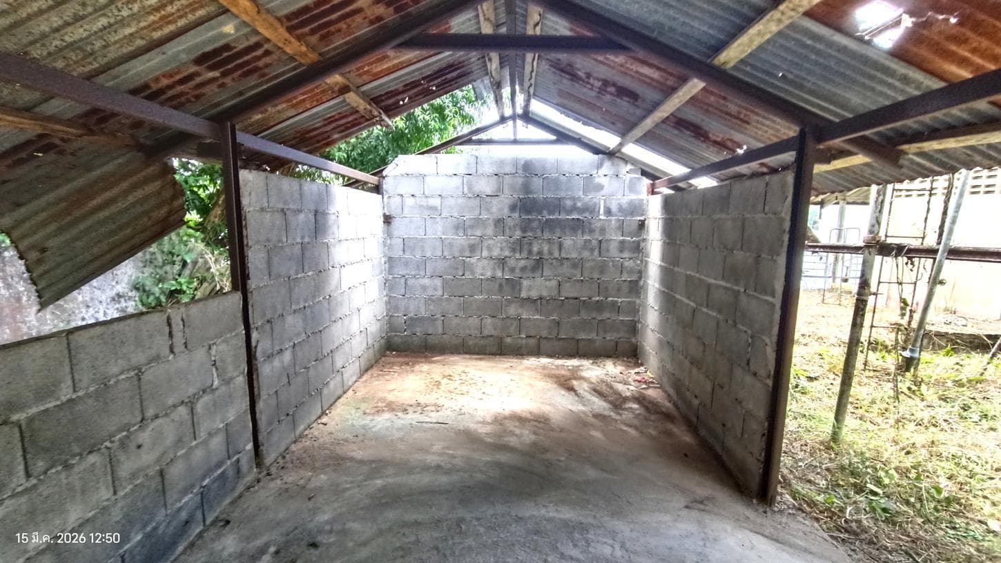 บ้านเดี่ยว 2 ห้องนอน พื้นที่ 211.79 ตร.ม. ทำเลศักยภาพ บางม่วง ตะกั่วป่า พังงา