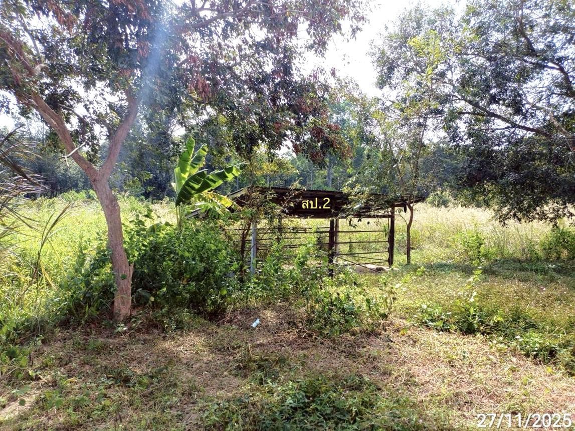 บ้านเดี่ยว ดอกไม้ สุวรรณภูมิ ร้อยเอ็ด 2 ห้องนอน 2 ห้องน้ำ 149 ตร.ม. ทำเลสงบ บรรยากาศดีเพื่อครอบครัว