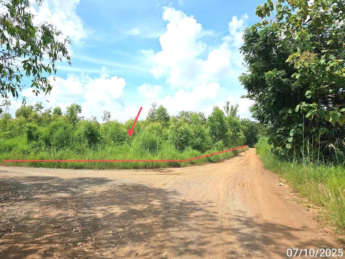 ที่ดินเปล่า พื้นที่ 69 ตร.ว. ทำเลศักยภาพ กองทูล หนองไผ่ เพชรบูรณ์