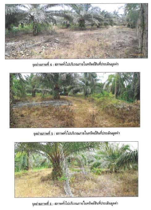 ที่ดินเปล่า ลำทับ กระบี่
