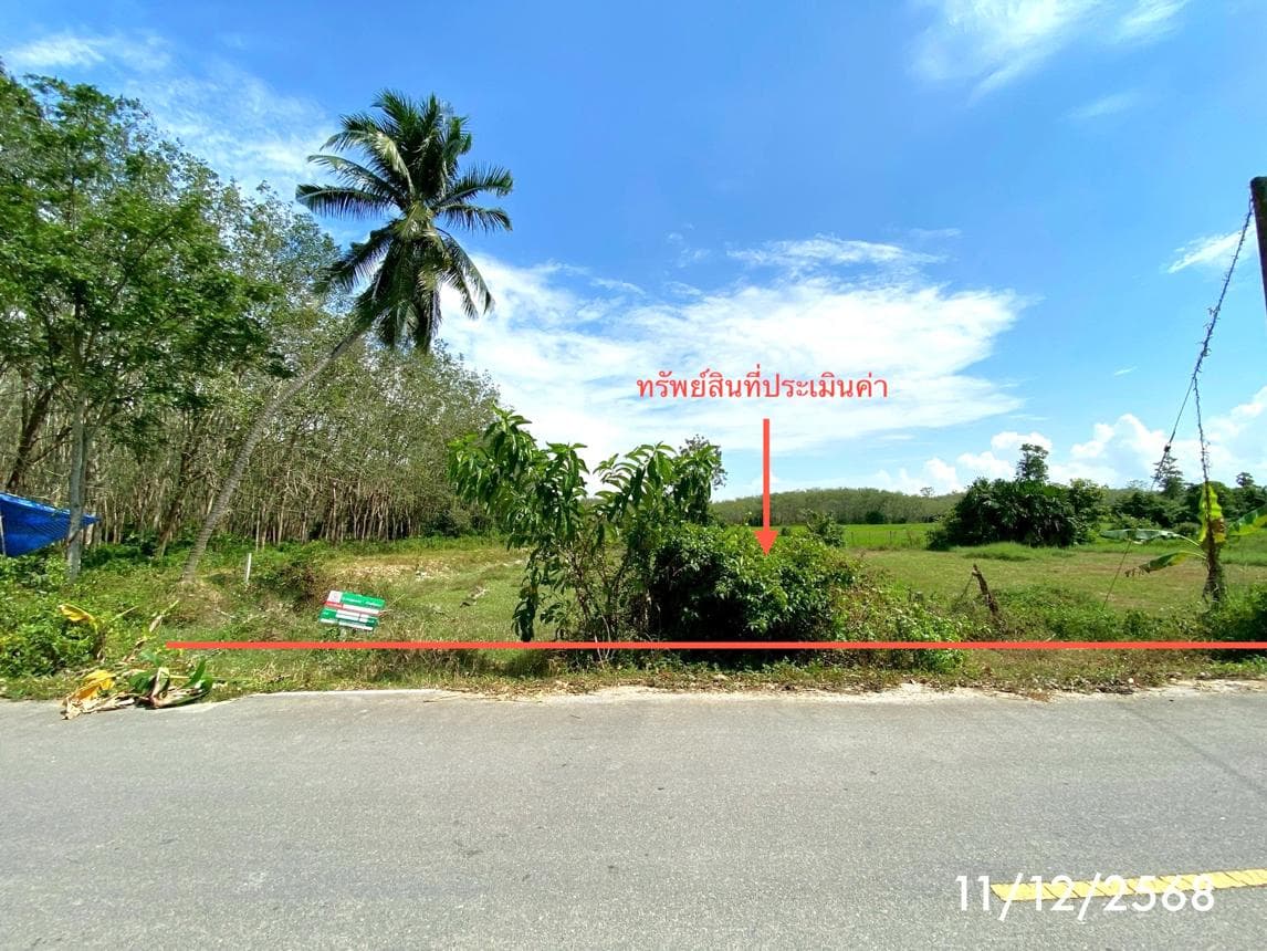 ขายที่ดินเปล่า รัตภูมิ ควนเนียง สงขลา ทำเลศักยภาพ เหมาะสำหรับการลงทุน