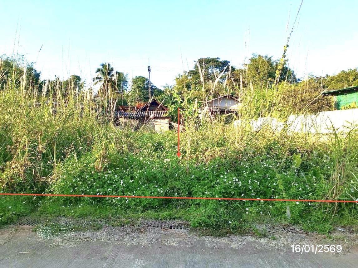 ขายที่ดินเปล่า แม่จัน เชียงราย พื้นที่ 86 ตร.ว. ทำเลสงบ เหมาะสร้างบ้าน ราคาเพียง 4.3 แสน