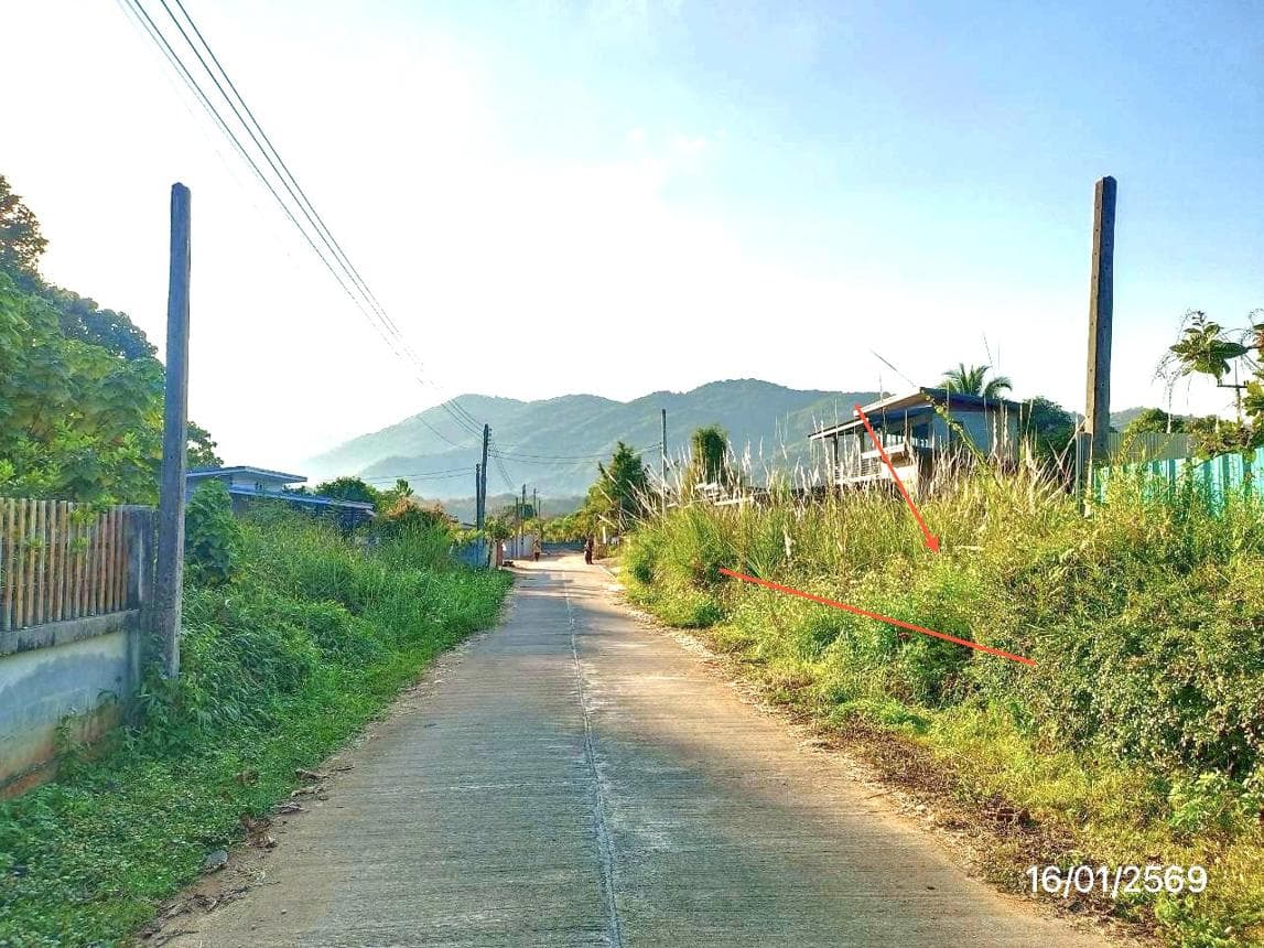 ขายที่ดินเปล่า แม่จัน เชียงราย พื้นที่ 86 ตร.ว. ทำเลสงบ เหมาะสร้างบ้าน ราคาเพียง 4.3 แสน