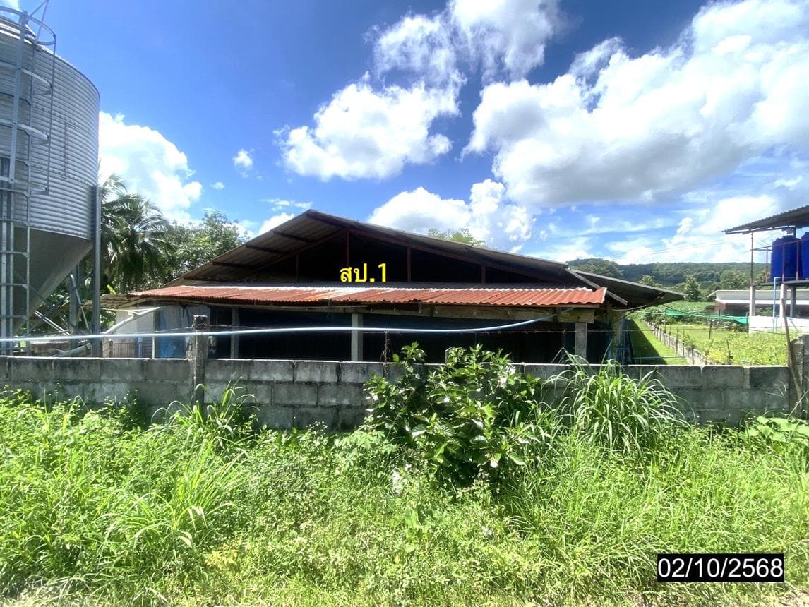 ขายฟาร์มและที่ดินเพื่อเกษตรกรรม นาแขม เมืองเลย เนื้อที่ 21 ไร่ พื้นที่ใช้สอย 976 ตร.ม. ทำเลดี บรรยากาศธรรมชาติ