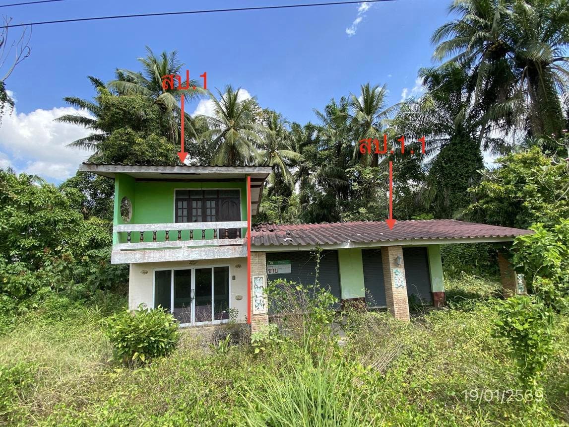 บ้านเดี่ยว 1 ห้องนอน พื้นที่ 194 ตร.ม. ทำเลศักยภาพ เขาวิเศษ วังวิเศษ ตรัง