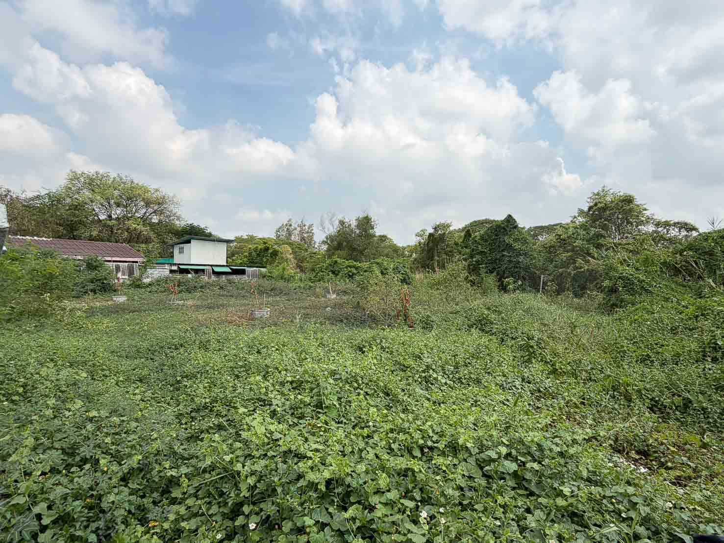 ขาย ที่ดิน หทัยราษฎร์ ซอย 23/1 เหมาะทำบ้านพักอาศัย 200 ตรว