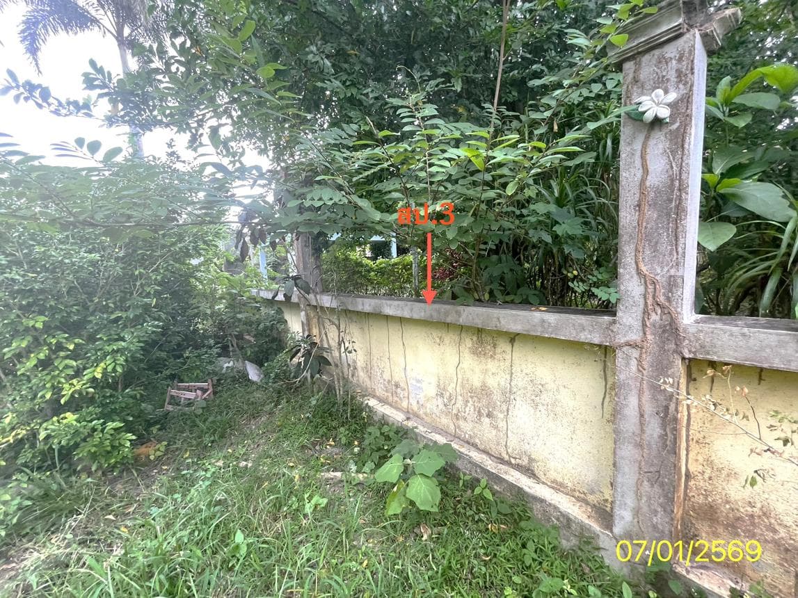 ขายบ้านเดี่ยว คลองหอยโข่ง สงขลา ทำเลคลองหอยโข่ง เนื้อที่ 41 ตร.ว. พื้นที่ใช้สอย 180.45 ตร.ม. 3 ห้องนอน 1 ห้องน้ำ สภาพดี พร้อมอยู่