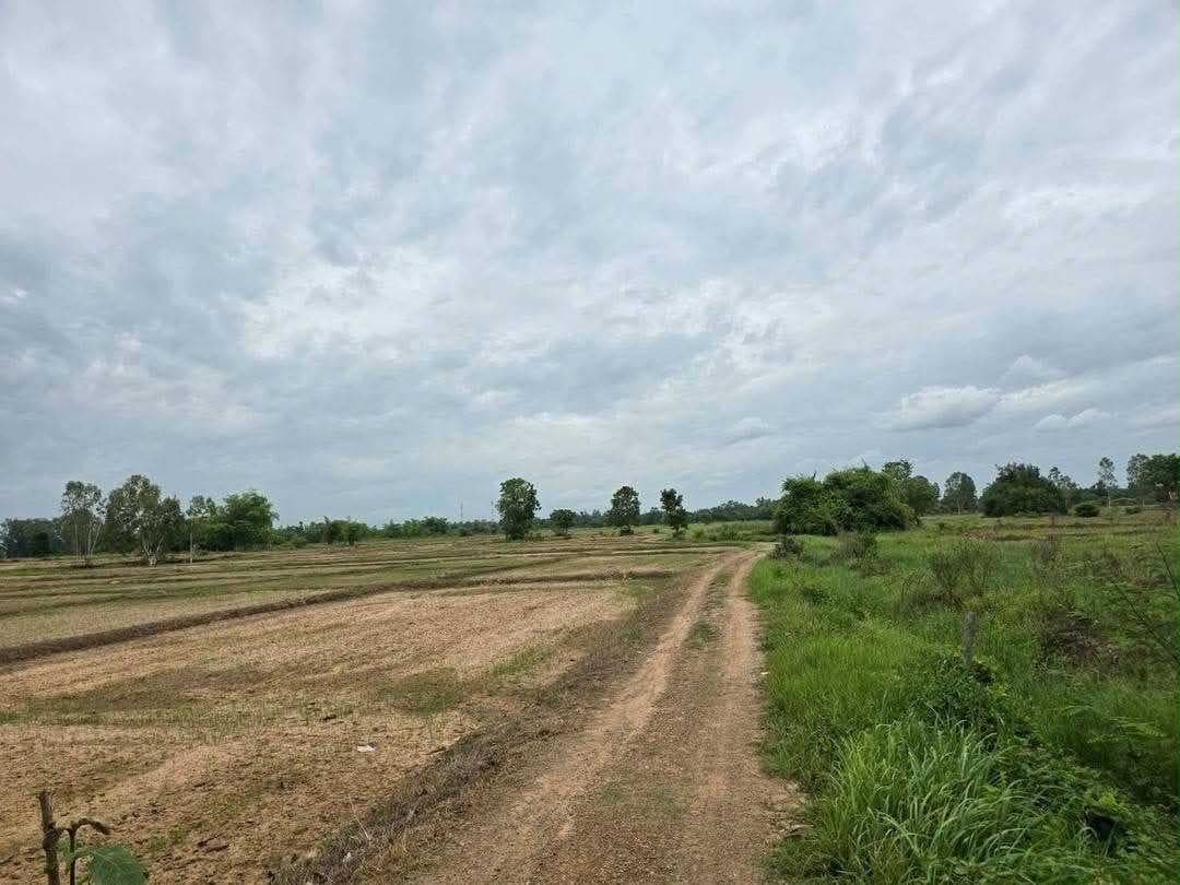 ขายที่ดินสวย ป่าสัก จ.ลำพูน