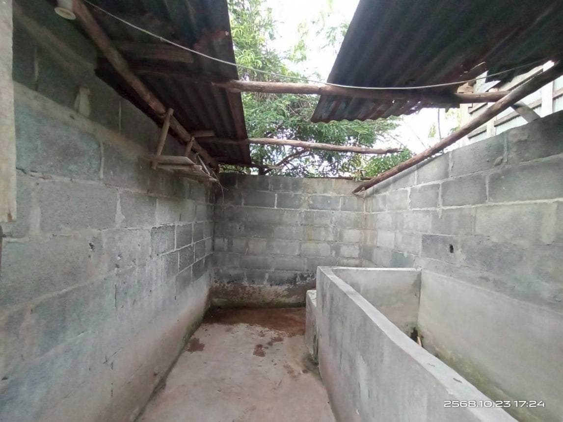 บ้านเดี่ยว 1 ห้องนอน พื้นที่ 186 ตร.ม. ทำเลศักยภาพ หนองทุ่ม วาปีปทุม มหาสารคาม